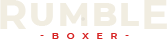 MMA Masters Vix logo