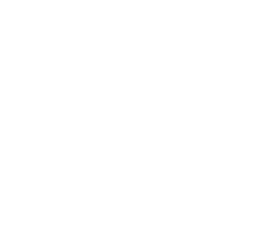 Ronin Martial Arts Academy logo