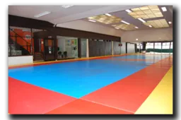 Le Budokan Judo Et Jiu Jitsu logo