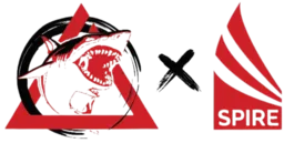 Relson Gracie Combat Club logo