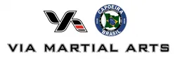 VIA MARTIAL ARTS logo