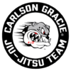 Sandro Sampaio Brazilian Jiu-Jitsu Academy logo