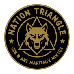 Nation Triangle logo