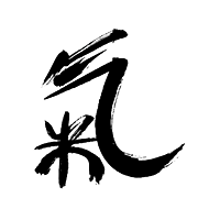 Brazilian Jiu Jitsu Schule logo